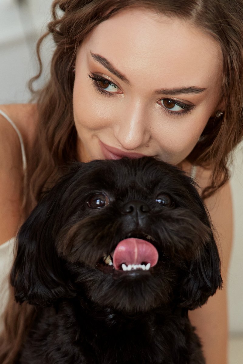 Artystyczny portret psa w studio fotograficznym